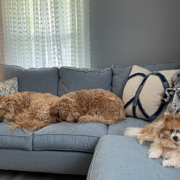 Meet your Posher, Paula - Picture 1 of 2